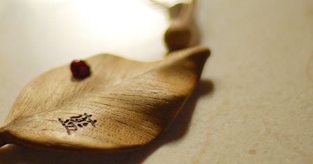 イメージ:ヴィラのご案内