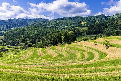 イメージ:観光スポット